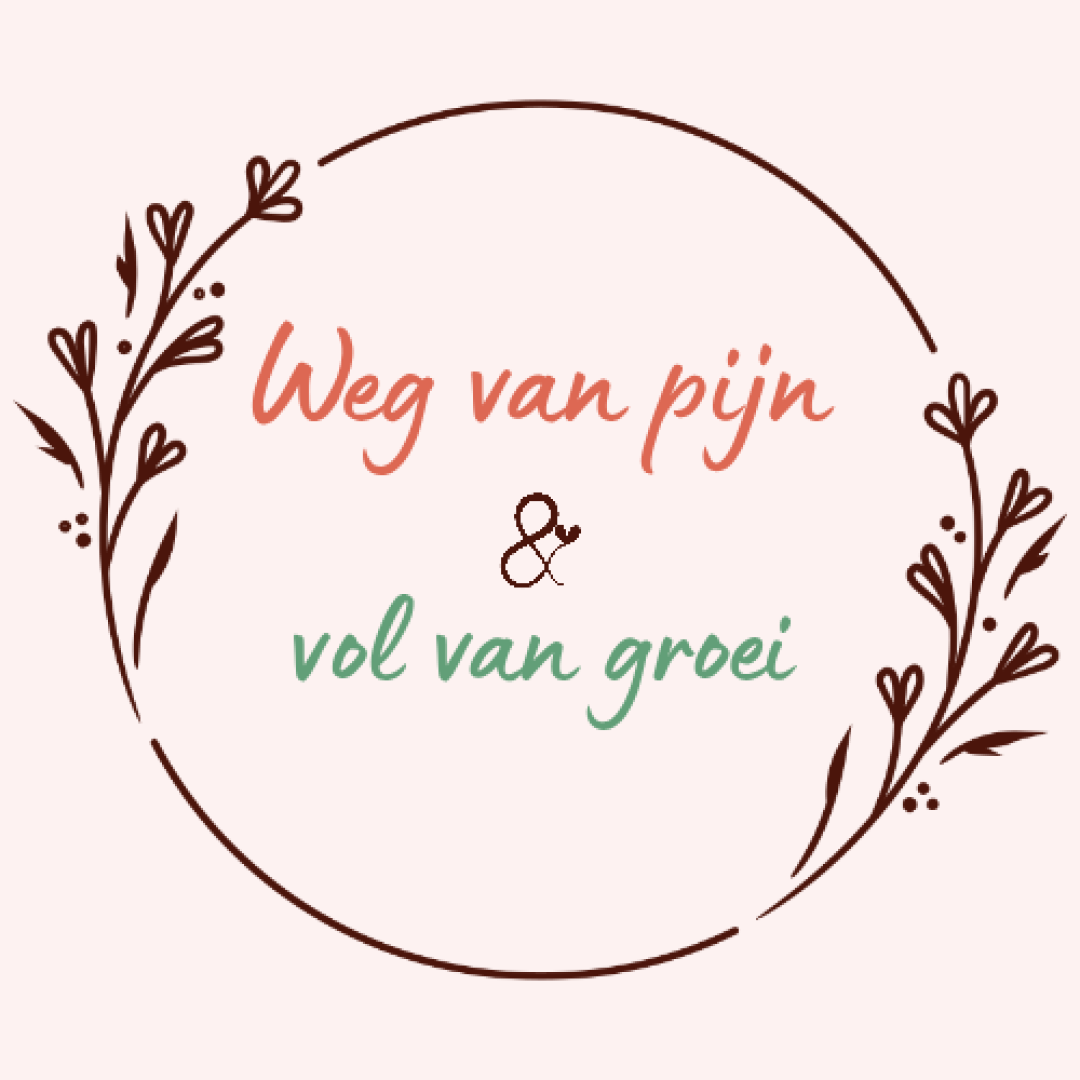 Herstellen van burn-out, FNS of andere chronische klachten met de Van Overleven Naar Functioneren-methode